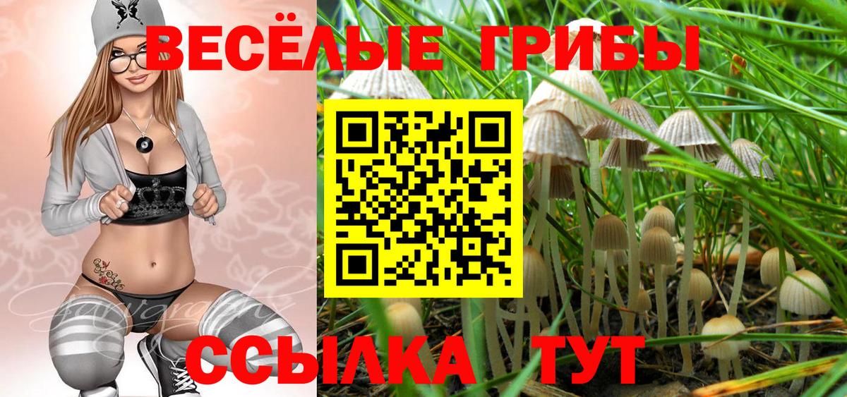 Псилоцибиновые грибы Cubensis  продажа наркотиков  Касимов  Вход с VPN 